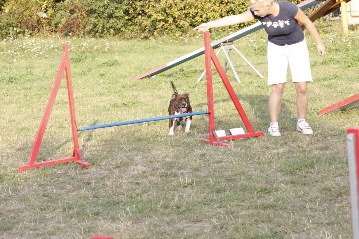 skocka 3.jpg