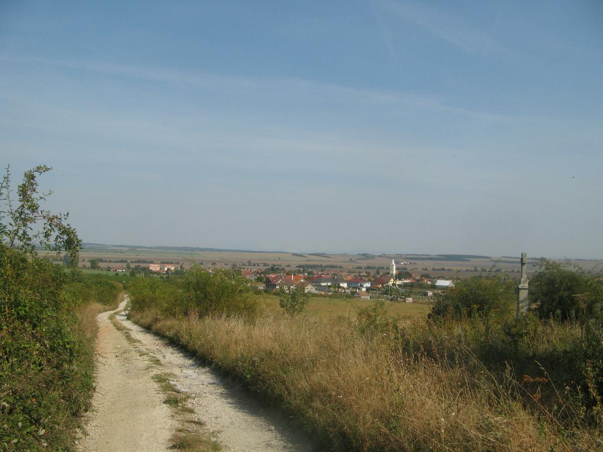 38.jpg