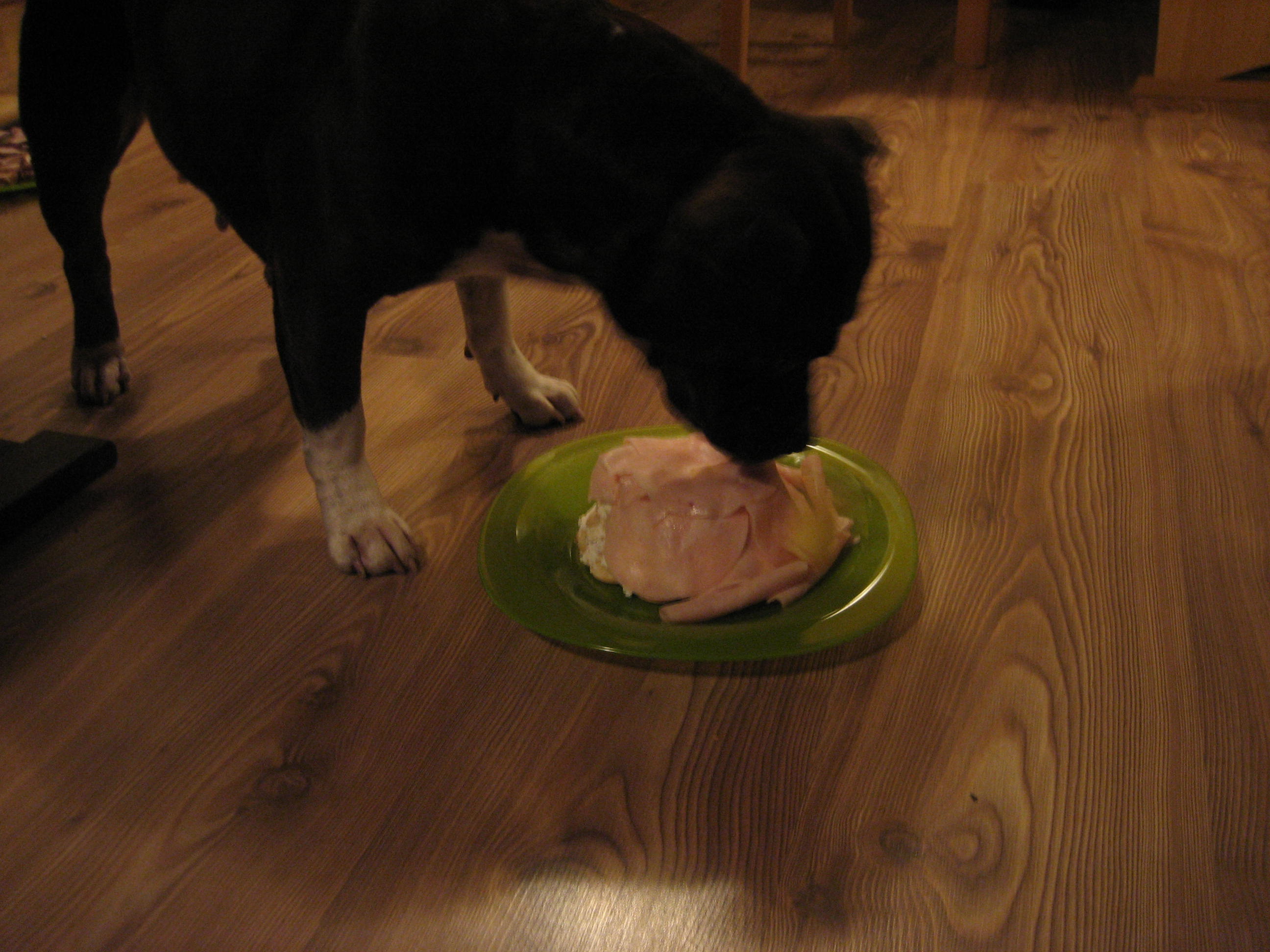 IMG_6838.JPG