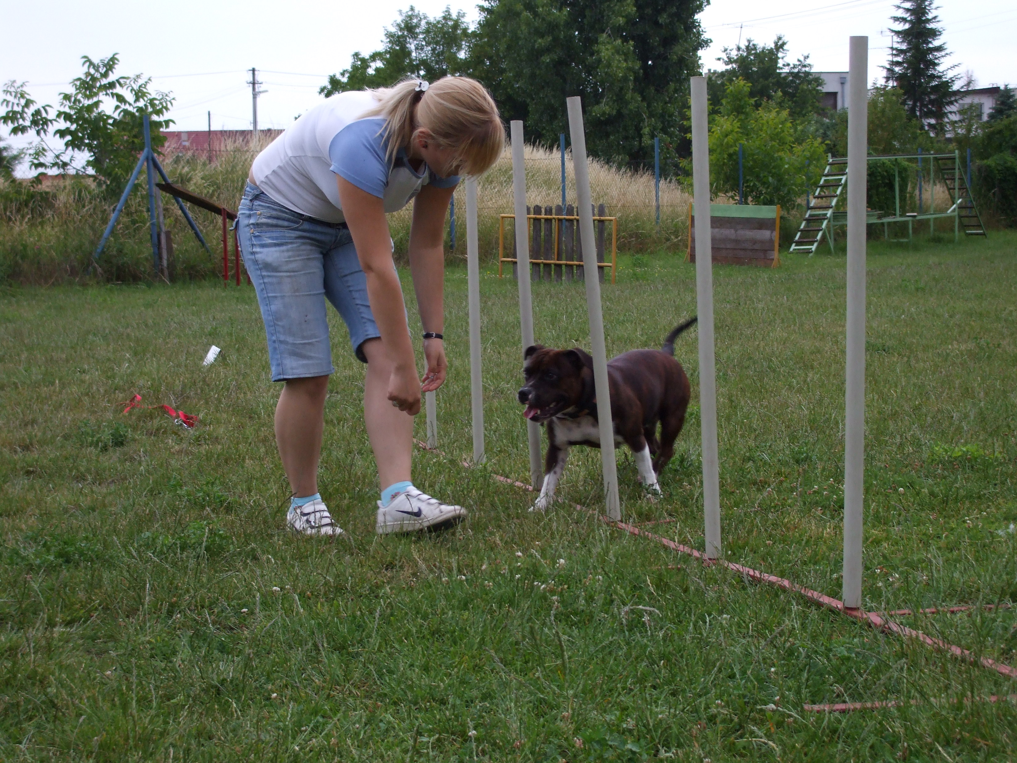 DSCF3933.JPG