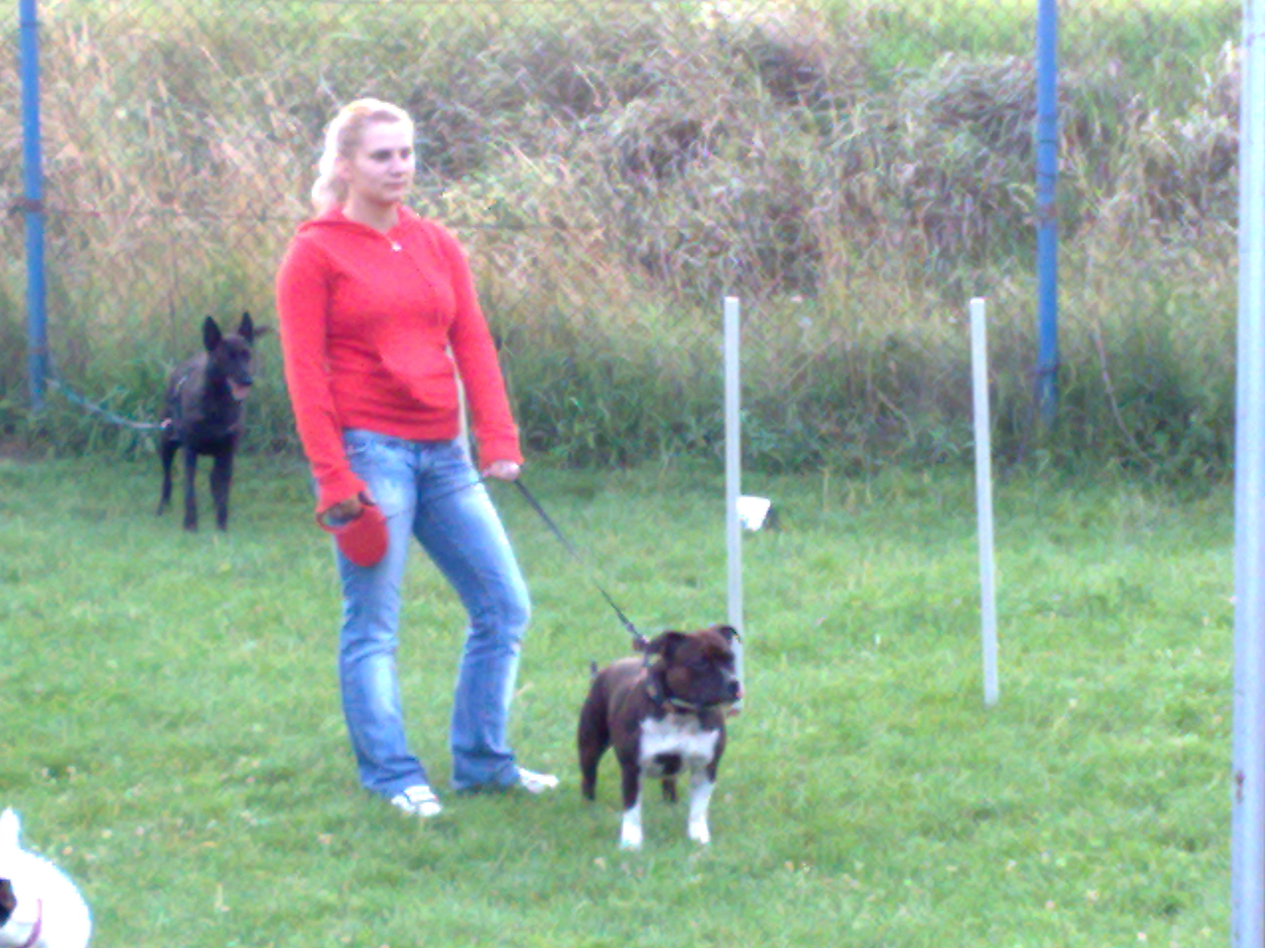 10072009538.jpg