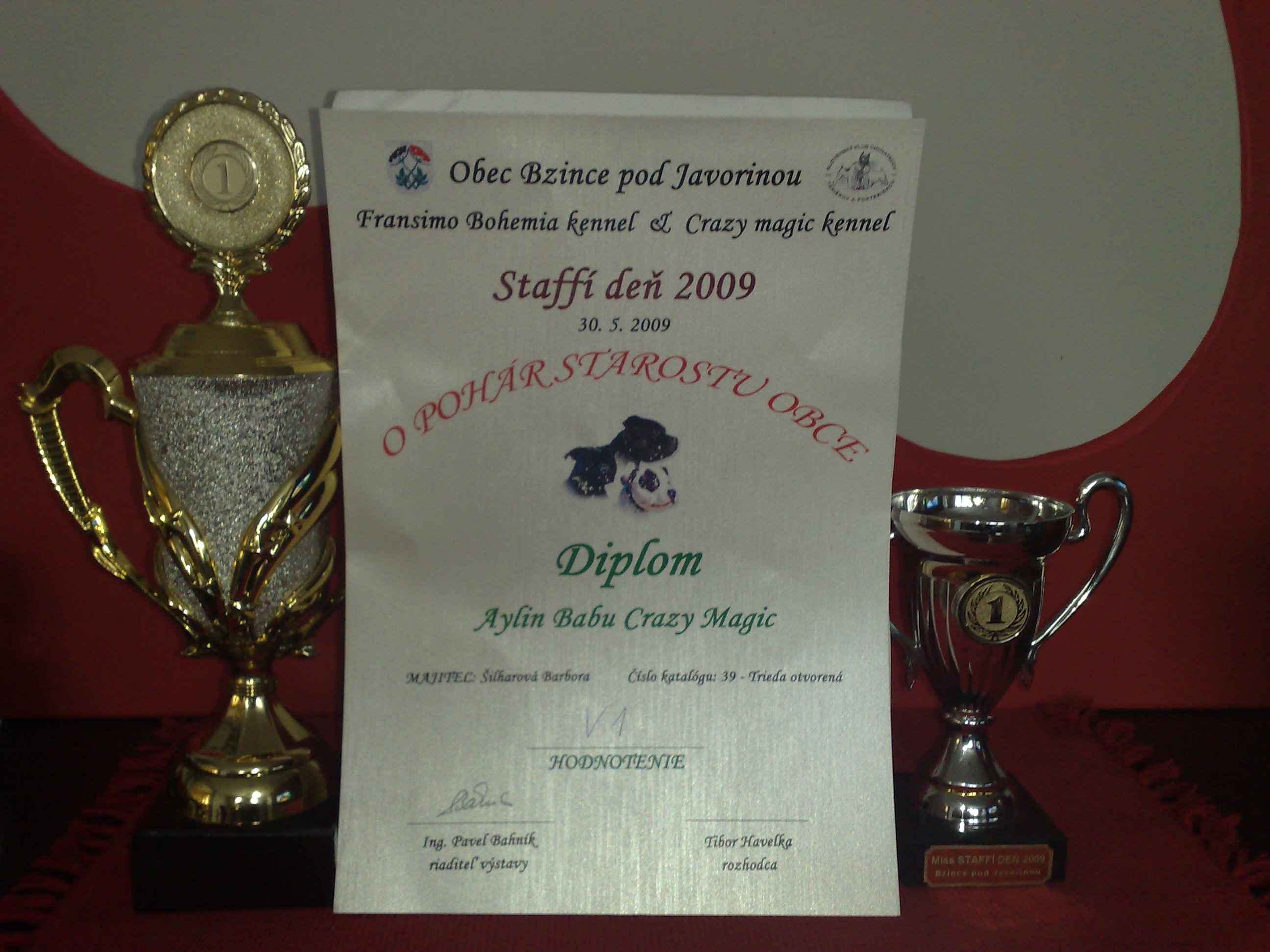 31052009460.jpg