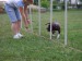 DSCF3934.JPG