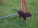 DSCF4019.JPG